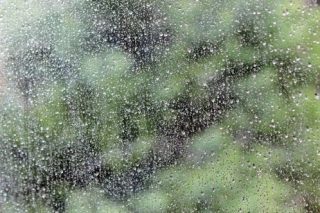 住まいの予防「台風対策」