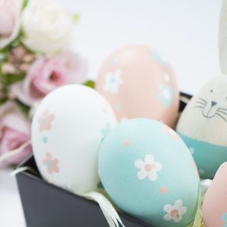 Nexta通信2019年3月号　発行のお知らせ