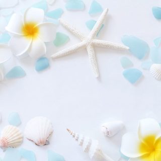 Nexta通信2019年7月号　発行のお知らせ