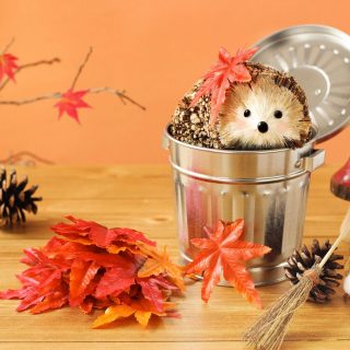 Nexta通信2019年10月号　発行のお知らせ