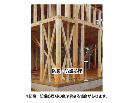 土台に、柱に　防腐・防蟻処理