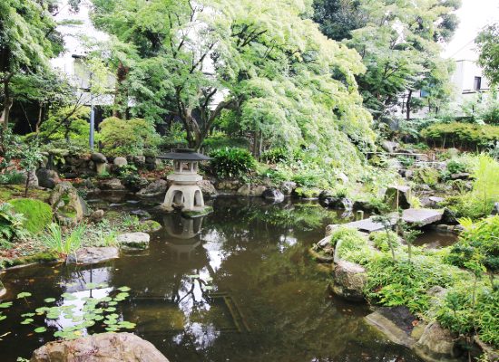 杉並区立天沼弁天池公園