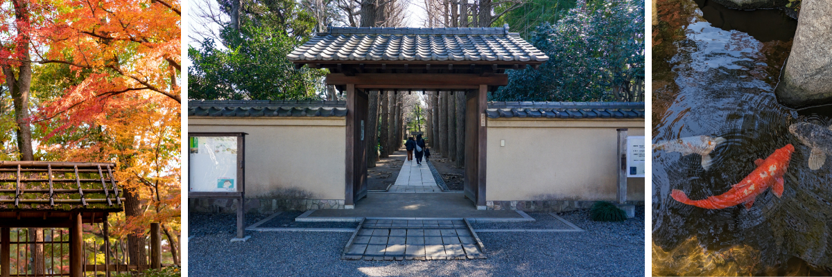 東京都心から程近い別荘街と称された「西の鎌倉、東の荻窪」
