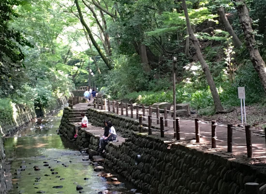 東急沿線特集｜等々力エリア 等々力渓谷