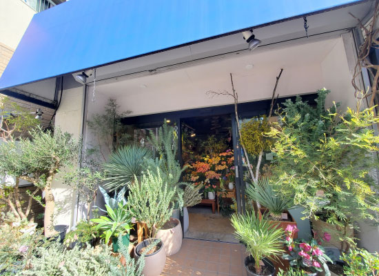 東急沿線特集|桜新町エリア TRUMP flowers