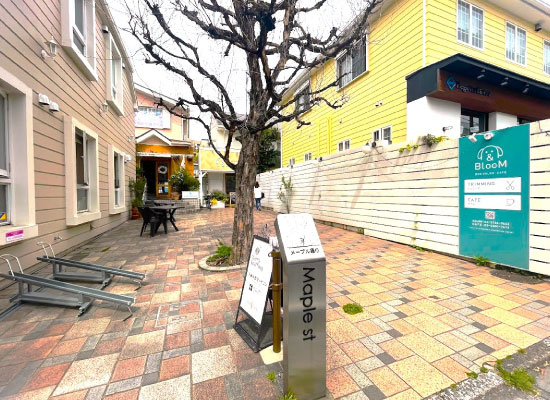 東急沿線特集|自由が丘エリア メイプルファーム