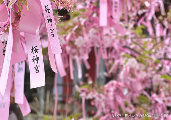 世田谷区新町 新築分譲住宅|周辺環境_桜神宮(現地から約230m_徒歩3分