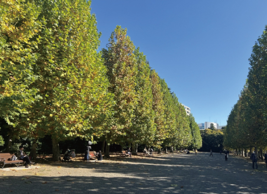 新宿エリア特集|新宿御苑