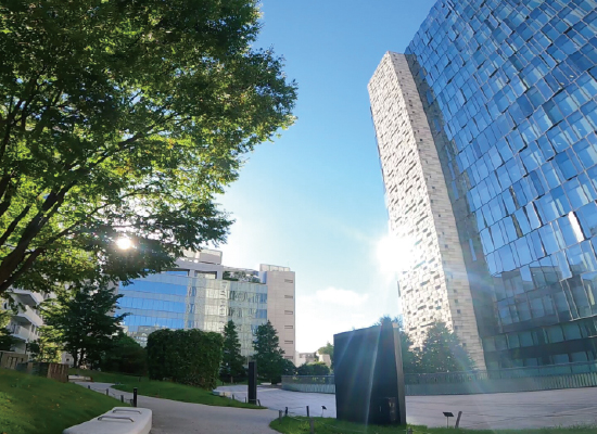 新宿エリア特集|イーストサイドスクエア