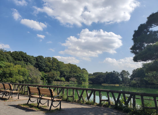 並区上荻3丁目 新築分譲住宅｜善福寺公園