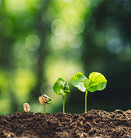 環境活動サムネ画像