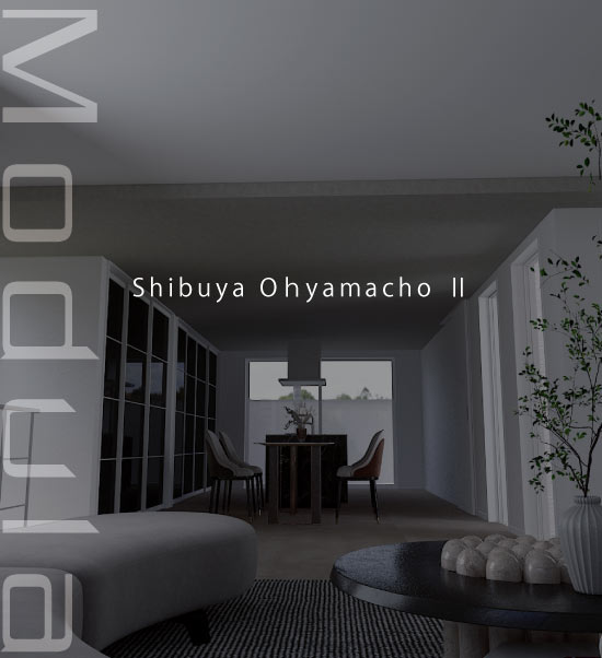 渋谷区大山町Ⅱのイメージ