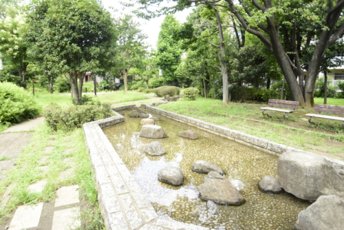 東大泉弁天池公園