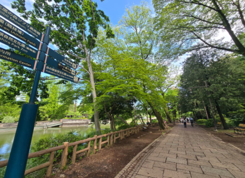 井の頭恩賜公園
