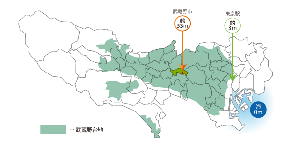 武蔵野台地 概念図